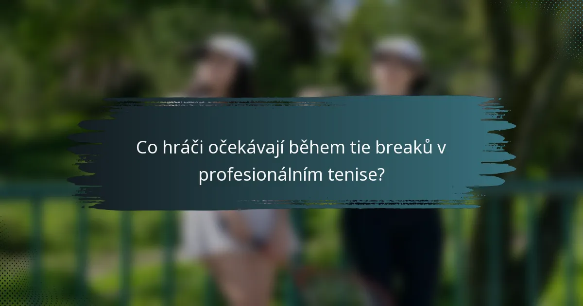 Co hráči očekávají během tie breaků v profesionálním tenise?