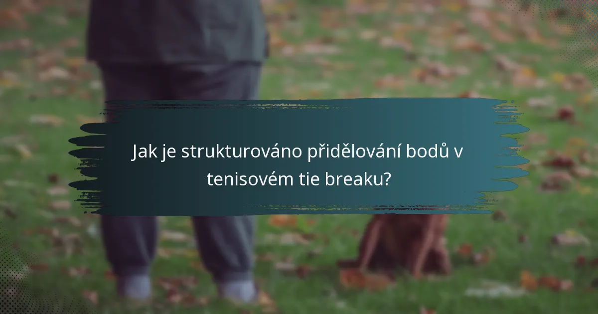 Jak je strukturováno přidělování bodů v tenisovém tie breaku?