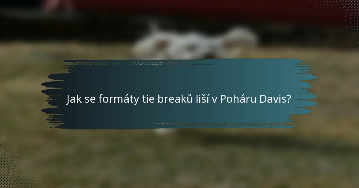 Jak se formáty tie breaků liší v Poháru Davis?