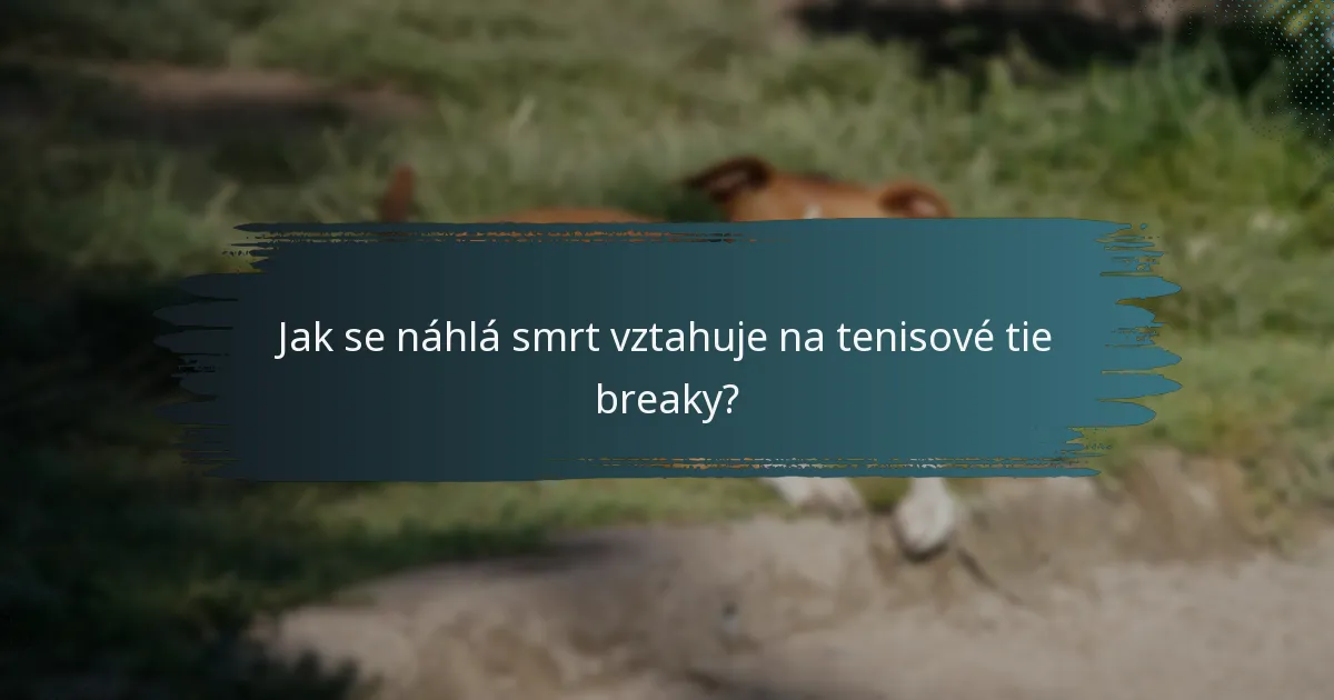 Jak se náhlá smrt vztahuje na tenisové tie breaky?