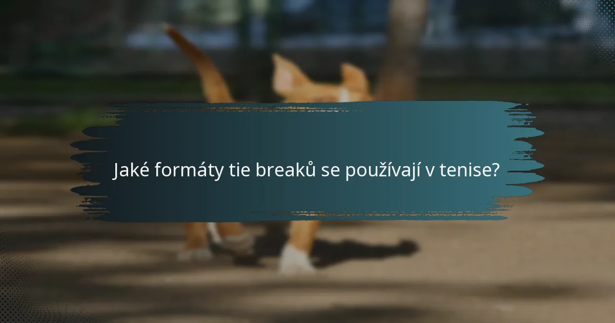 Jaké formáty tie breaků se používají v tenise?