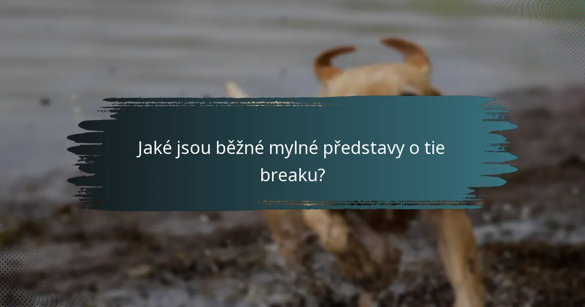 Jaké jsou běžné mylné představy o tie breaku?