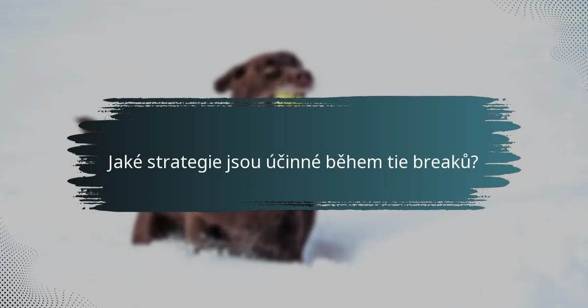 Jaké strategie jsou účinné během tie breaků?