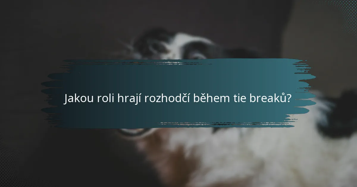 Jakou roli hrají rozhodčí během tie breaků?